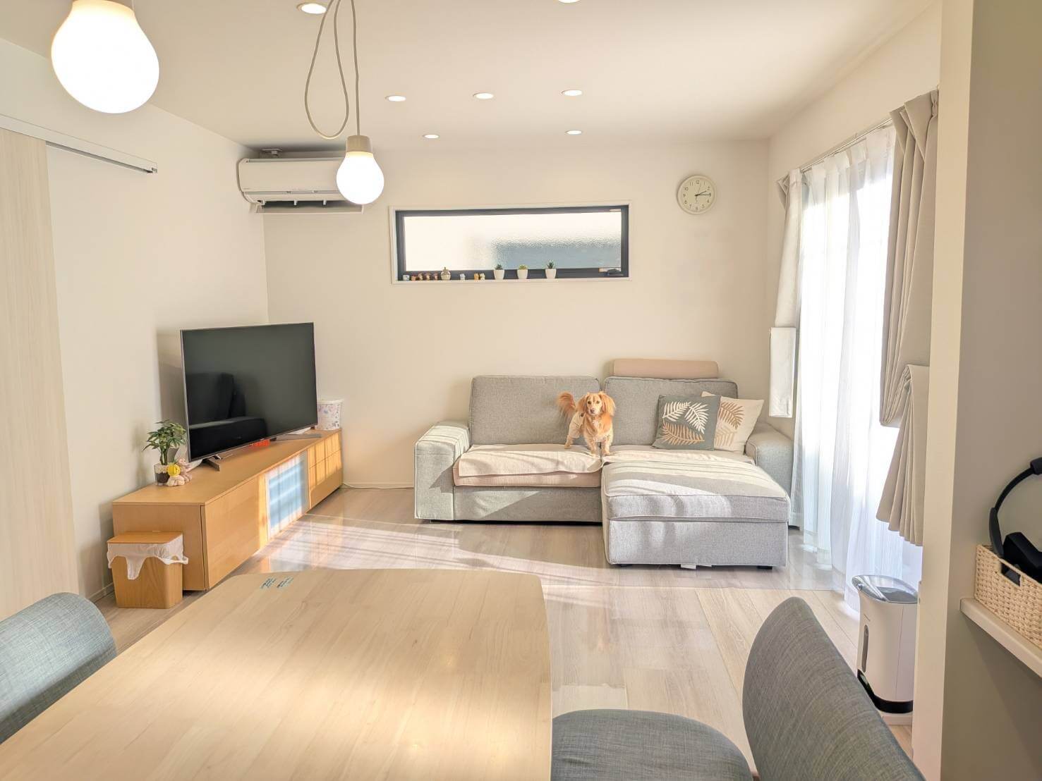 庭も家事ラクも。セミオーダーで全部叶ったワンちゃんとの暮らし