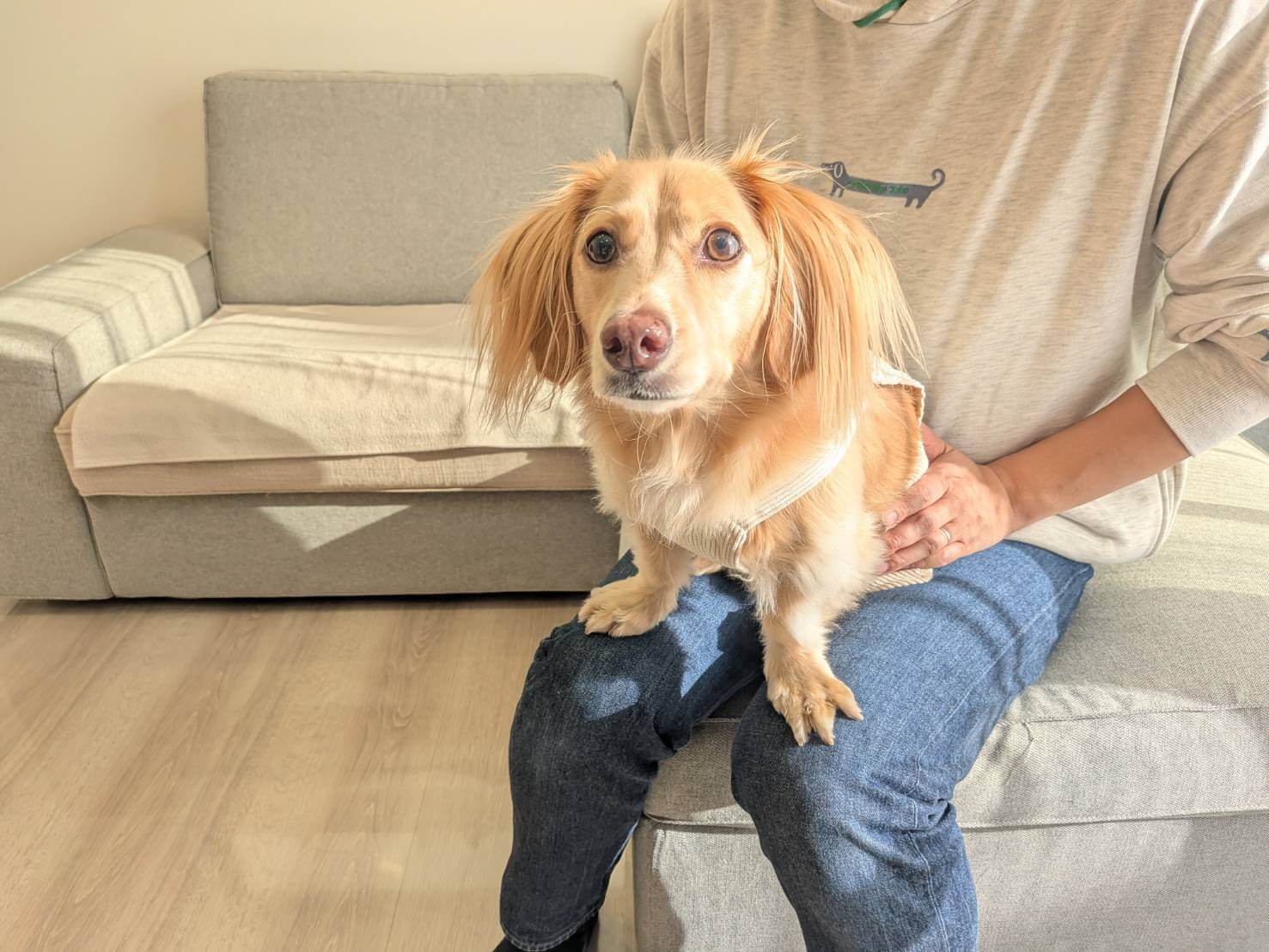 庭も家事ラクも。セミオーダーで全部叶ったワンちゃんとの暮らし